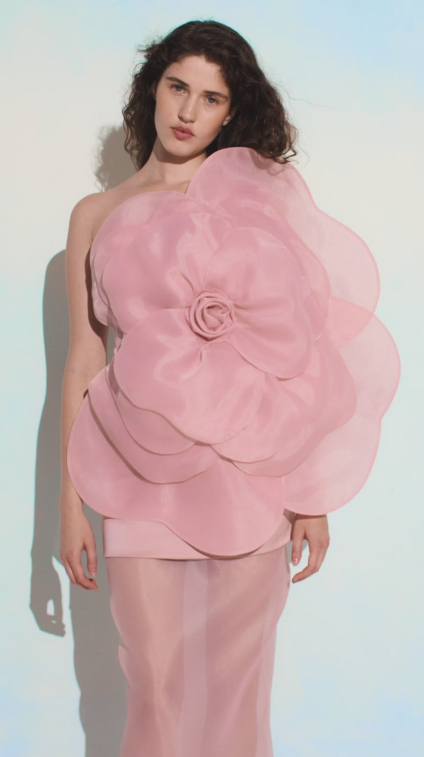 CAMELLIA LISA BLUSH DRESS